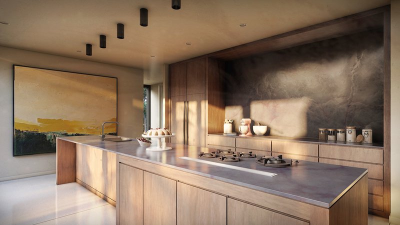 Modern Kitchen with granite countertops and integrated burners.