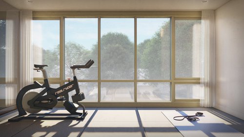 Fitness Room | Flex Space | My Modern Home